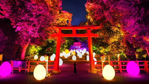 teamLab - Digitized Forest at the World Heritage Site of Shimogamo Shrine, Kyoto Art teamLab - Digitized Forest at the World Heritage Site of Shimogamo Shrine, Kyoto Art