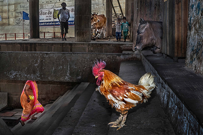 Il fotografo bengalese Enamul Kabir vince URBAN 2019 Photo Awards