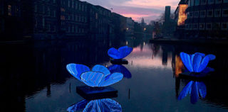 Masamichi Shimada - Butterfly Effect, Amsterdam Light Festival, 2019-2020 Masamichi Shimada – Butterfly Effect