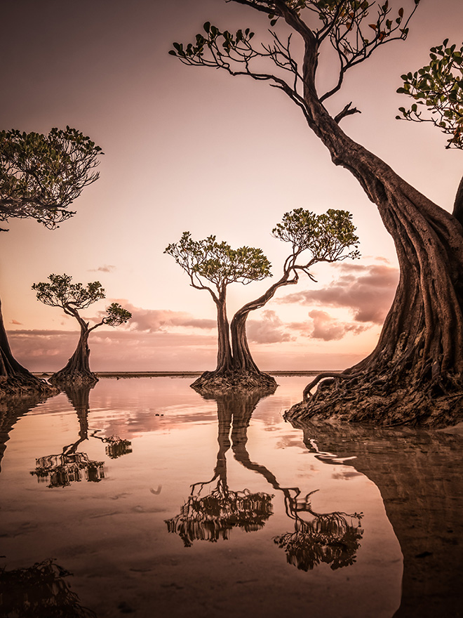 © Hsiang Hui - Dawn at Walakiri Beach, Sylvester Wong, Malaysia, Shortlist, Open, Landscape, 2020 Sony World Photography Awards