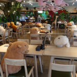 Peluche di Capibara seduti ai tavoli per favorire il distanziamento sociale