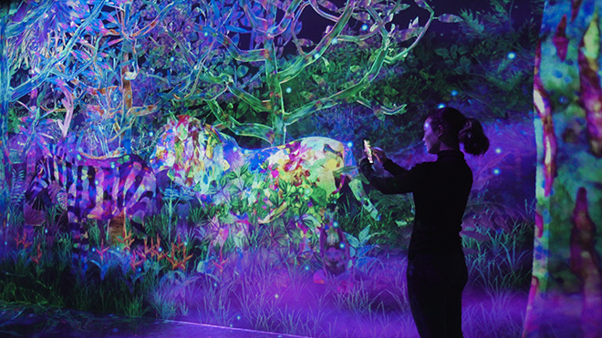 teamLab Forest - Catching and Collecting Forest, Fukuoka, Japan