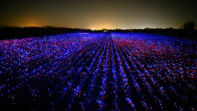 Daan Roosegaarde - GROW by Roosegaarde highlights the beauty of agriculture