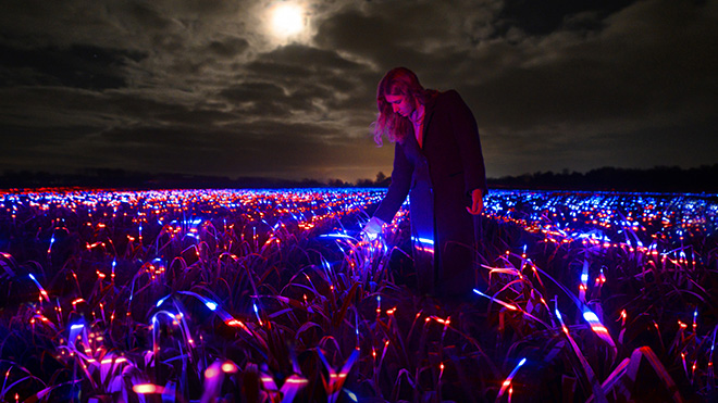 Daan Roosegaarde - GROW by Roosegaarde highlights the beauty of agriculture