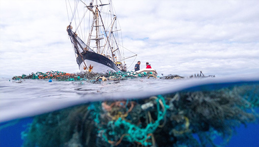 >Ocean Voyages Institute – A caccia di plastica” title=”>Ocean Voyages Institute – A caccia di plastica”></figure>
<p></a><br />
</div><div class=