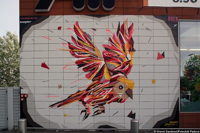 DACO (Francia)  Albignasego (PD) - Graffaune Bird, Alí Supermercati  (Via Modigliani),  Opera su muro.