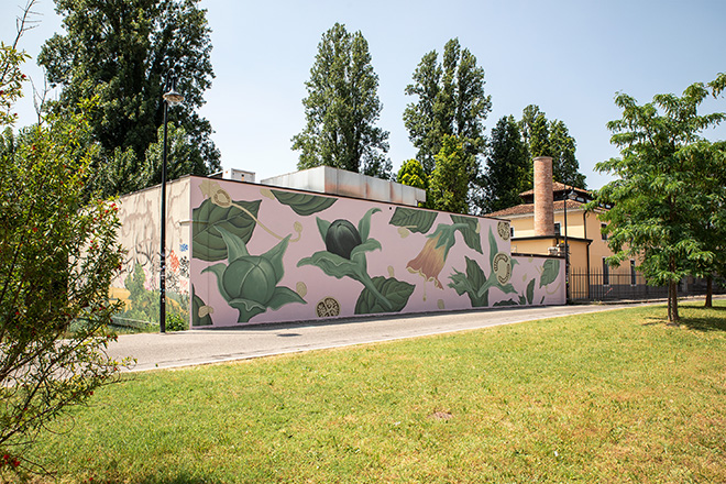 DOA OA (Spagna),  Reforesting Atropa Belladonna, Padova – Studio legale Trabucchi, Passeggiata A. Miolati  Opera su muro .