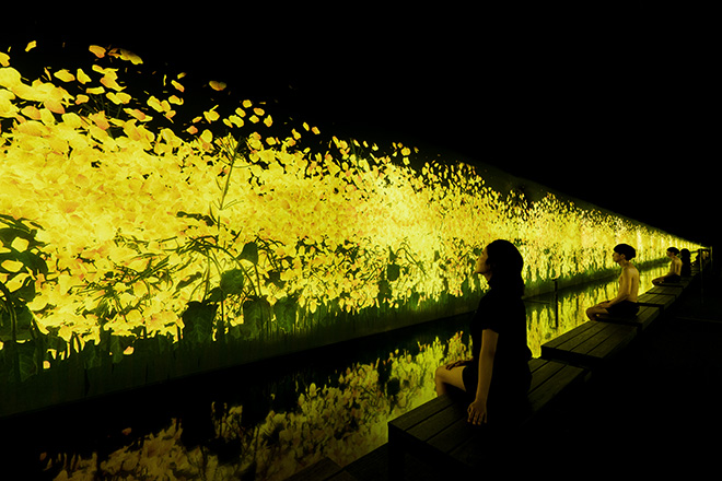 teamLab - Reconnect, Main Proliferating Immense Life. A Whole Year per Year reconnect swimsuit