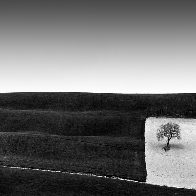 Rosario Civello - Tree in a Square, First place Landscape category, Minimalist Photography Awards