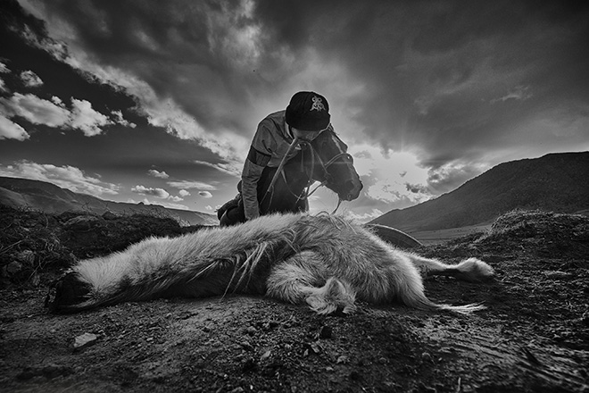 Alain Schroeder (Belgium) - 2nd place Winner. Title: Dead Goat Polo 10. Series: Dead Goat Polo. AAP Magazine #20 TRAVELS