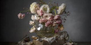 ©Christopher Broadbent - Ranunculus ZA (2020) n.0 cm.40x55 Christopher Broadbent – Rimasto nell’Ombra