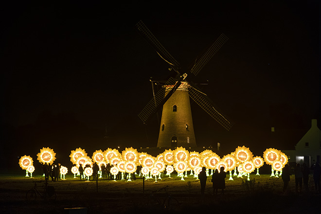Glow Eindhoven 2021 - Zonnebloemen voor Van Gogh. photo credit: Vincent van den Hoogen