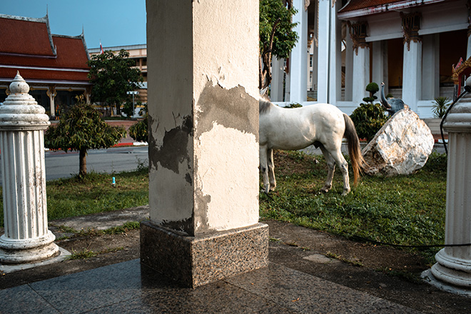 Sakulchai Sikitikul (Thailand) - HORSE AND THE CRACK. SONGKHLA THAILAND. Merit Gallery: AAP Magazine #22: Streets.