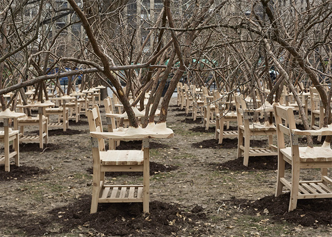 Installation view of Hugh Hayden’s Brier Patch in Madison Square Park, New York, 2021/2022. Photo by Yasunori Matsui.