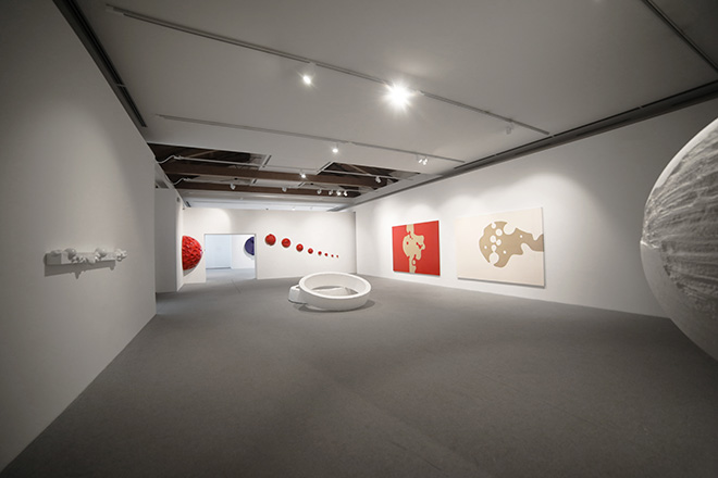 Beatrice Gallori - Sala bianco rosso, installation view (CODEX), Museo MARCA, Catanzaro