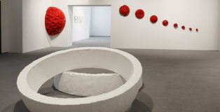 Beatrice Gallori - Sala bianca e sala rossa, installation view (CODEX), Museo MARCA, Catanzaro