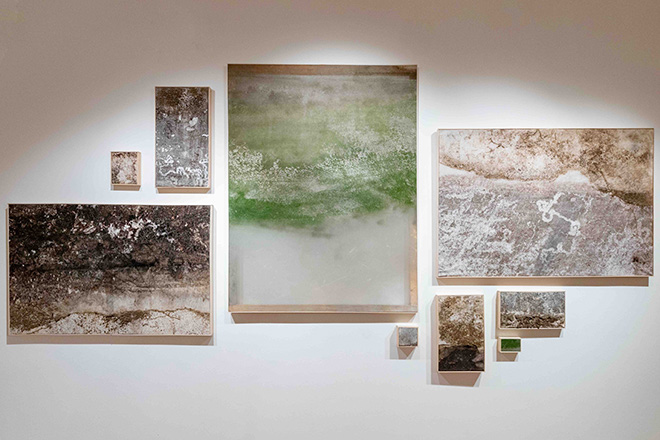 Roberto Ghezzi - Installazione Naturografie, dimensioni ambientali, 2020