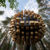 Biosphere Treehouse Hotel by Bjarke Ingels Group. Photo credit: Mats Engfors Fotographic