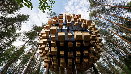 Biosphere Treehouse Hotel - Dormire tra alberi e uccelli