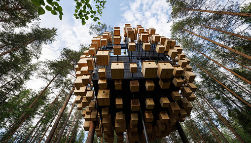 Biosphere Treehouse Hotel - Dormire tra alberi e uccelli Biosphere Treehouse Hotel - Dormire tra alberi e uccelli