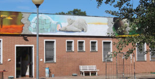 Una casa per ogni stagione - Parma: Graffiti per il Dormitorio Comunale Enzo Sicuri, un progetto a cura di McLuc Culture