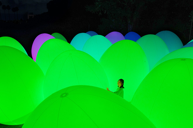 teamLab - Forest of Autonomous Resonating Life - Eucalyptus. Exhibition view of teamLab Botanical Garden Osaka, 2022, Nagai Botanical Garden, Osaka. © teamLab, Courtesy Pace Gallery