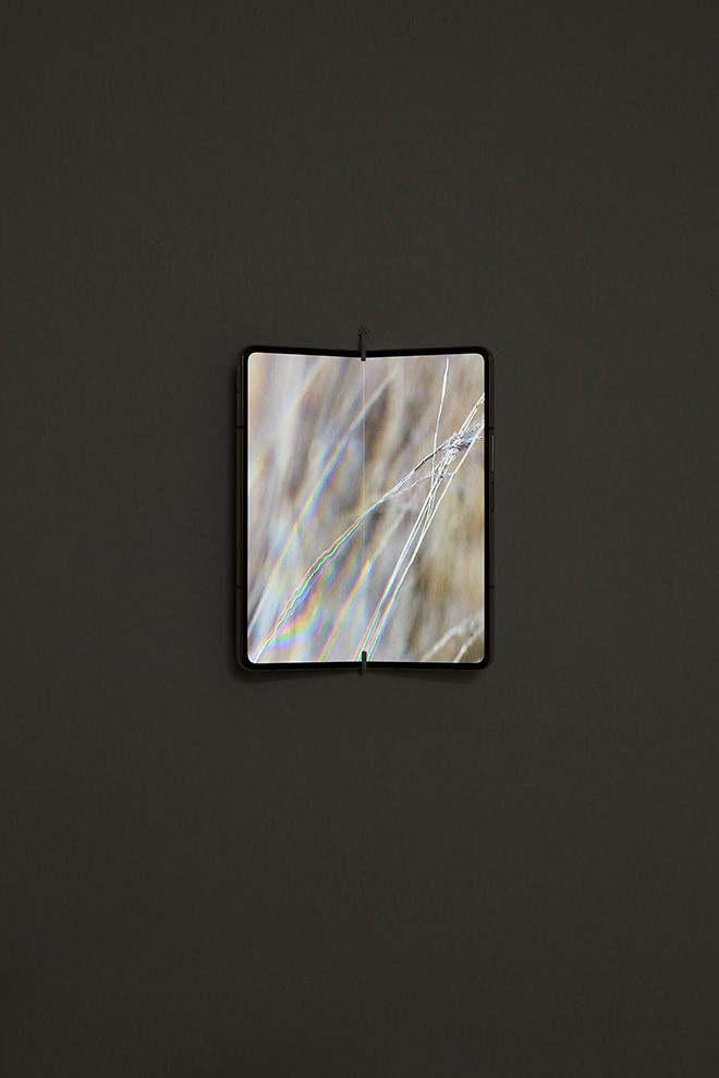 Marina Cavadini - Eat Me, installation view, The Address gallery. Ph © Alberto Petrò