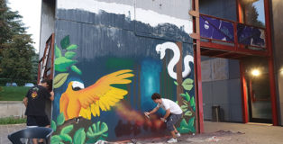 Scriviamolo sui Muri tra creatività, condivisione e sensibilità sociale