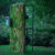 Marco Barotti - MOSS, una scultura interattiva tra tecnologia e natura