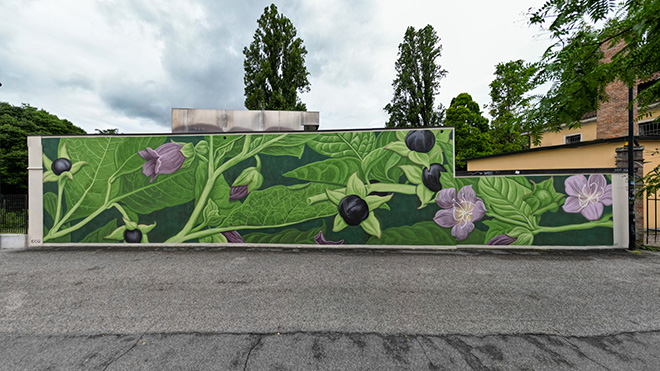 Doa Oa - ANCE, Passeggiata Miolati, Padova, Super Walls 2023. Photo credit: Mirco Levorato