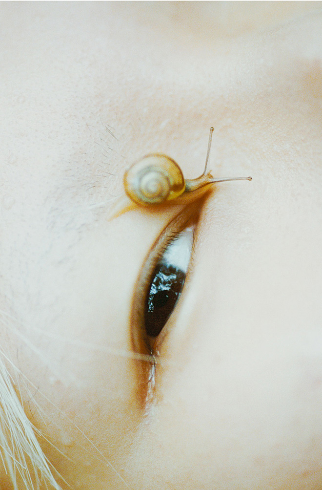 Arianna Lago - San's eye with snail