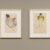 Veduta dell'allestimento (Da Albrecht Dürer a Andy Warhol Capolavori dalla Graphische Sammlung ETH Zürich). © MASI Lugano, foto: Gabriele Spalluto