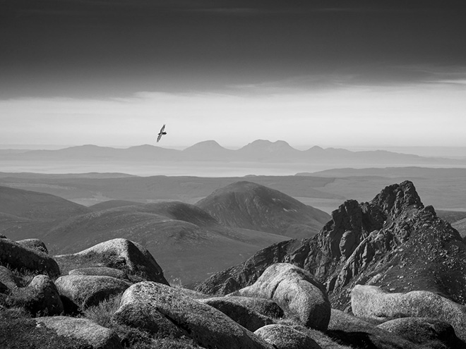©Robin Dodd / British Wildlife Photography Awards 2024. Raven Above Arran, Black & White | Winner. Raven (Corvus corax) Isle of Arran, Scotland