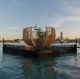 ARENA FOR A TREE (Arena per un albero) – A Venezia un intervento artistico di Klaus Littmann