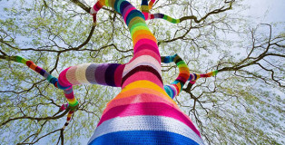 Yarn Bombing - Street art