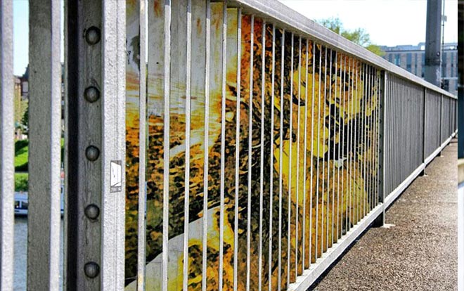 Zebrating Art - Graffiti nascosti