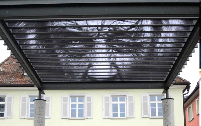 Zebrating Art - Graffiti nascosti