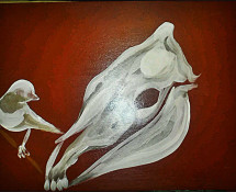 Marlene Demonte - Teschio di bue - Spatola olio su tela 50x50
