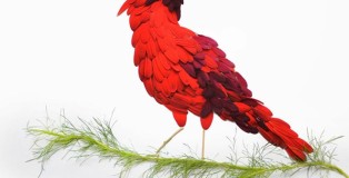 Red Hong Yi - Northern cardinal made of red gerberas and deep purple chrysanthemums with dill