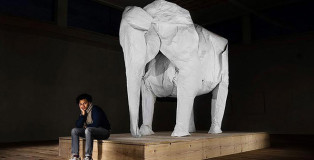 Sipho Mabona - Elephant Origami