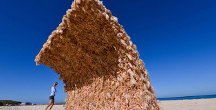Giant barbie wave - Annette Thas