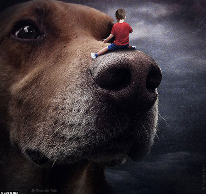 Sarolta Ban - Surreal Dogs photography - image credit © Sarolta Ban