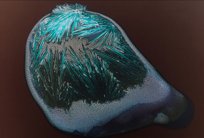 All you can feel: ketamin - Image credit ©Sarah Schoenfeld