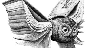 Redmer Hoekstra - Owl