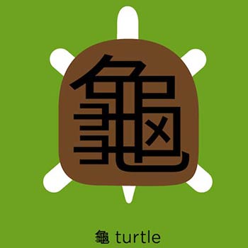 Turtle