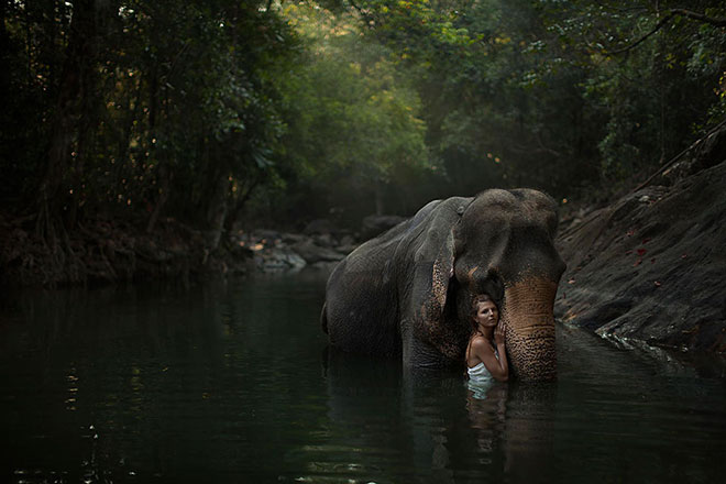 Katerina Plotnikova - Animali e Umani in posa