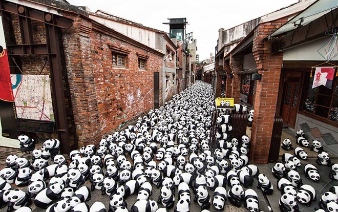 Pandas - Hong Kong