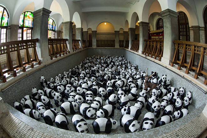 Pandas - Hong Kong