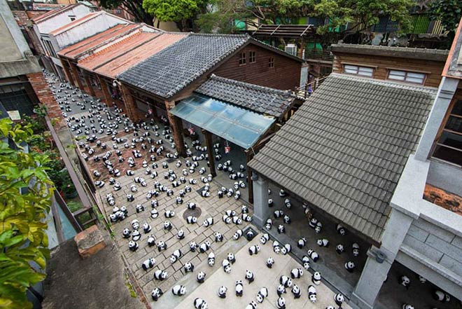 Pandas - Hong Kong