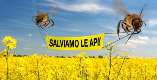 "Salviamo gli umani" - Greenpeace Campaign